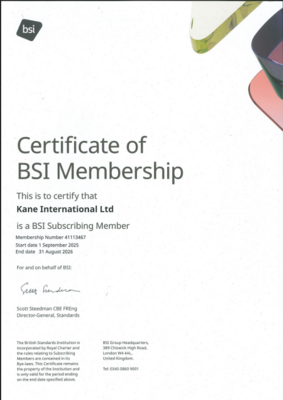 BSI